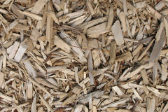 biomass boilers Rhoscolyn