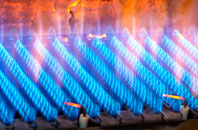 Rhoscolyn gas fired boilers